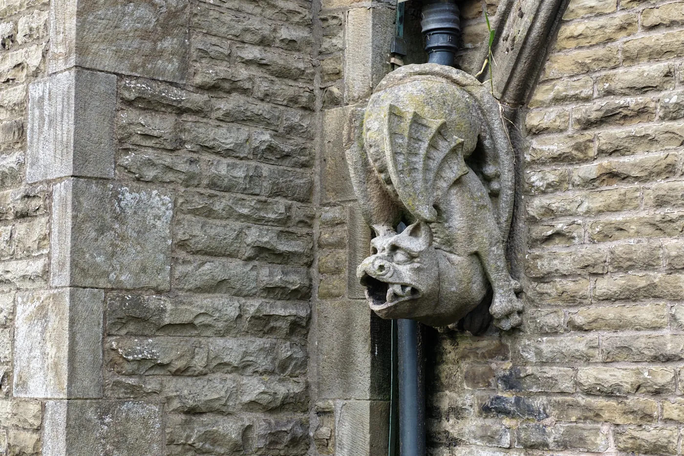 A winged stone grotesque projecting from the wall to throw rainwater clear of the stonework